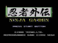 Ninja Gaiden, capture d'écran